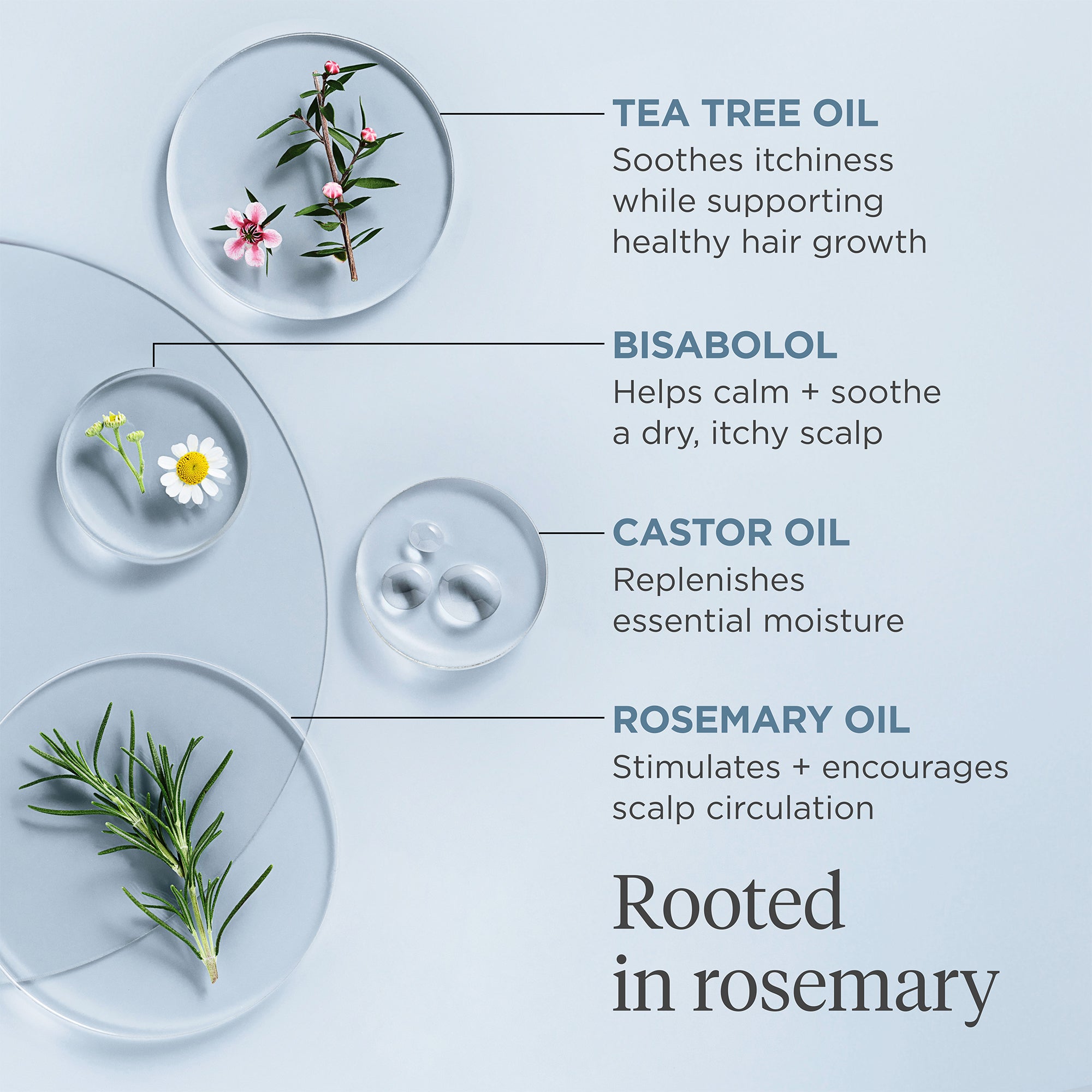 Scalp Revival Rosemary Pre-Wash Oil 1oz - Briogeo